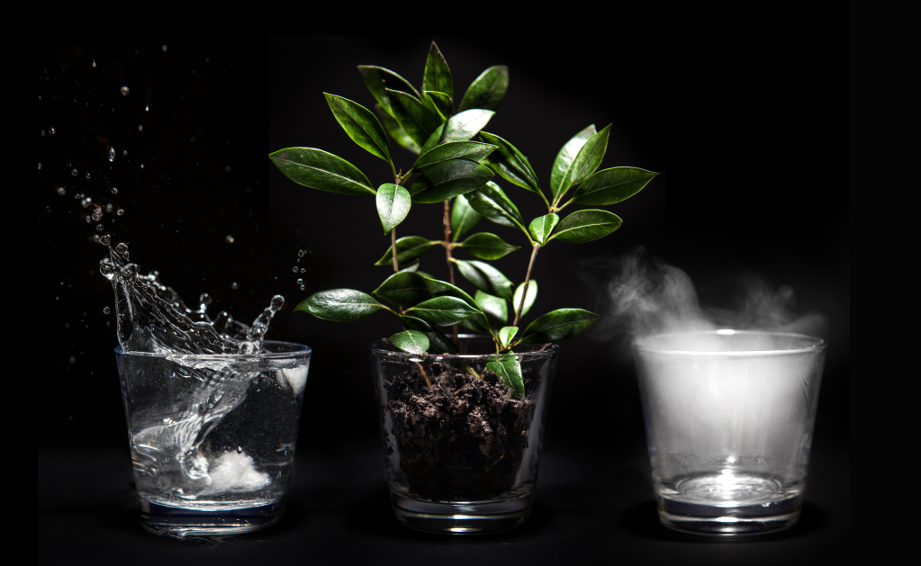 Picture of three clear glasses - one filled with splashing water, one filled with dirt and plants growing from it, one filled with mist or steam.